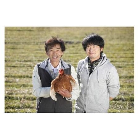 ふるさと納税 お皿に豆腐を移してジュレをかけるだけ！ごちそうたまごどうふ2種8個入り／Gbn-15 高知県四万十町