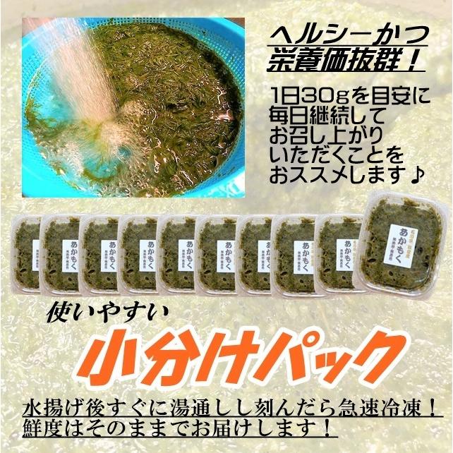 アカモク(ぎばさ) 能登産  100g×10パック 小分け 冷凍 あかもく ギバサ 能登半島 石川県 健康 食品 スーパーフード