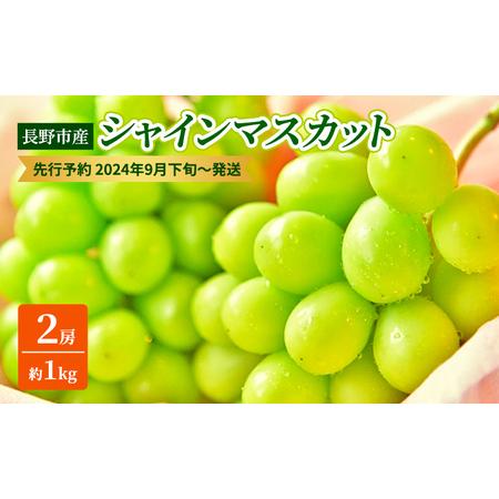 ふるさと納税 ぶどう 先行予約 長野市産 シャインマスカット 2房 約1kg 朝採り 葡萄 ブドウ フルーツ 果物 シャイン マスカット デザート おやつ.. 長野県長野市