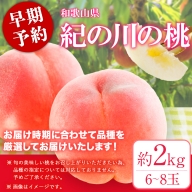 和歌山県産のもも 紀の里の桃 約2kg 《2024年6月中旬-8月中旬頃より順次出荷》 送料無料 6～8玉入り 旬の桃を厳選 あかつき モモ 果物 フルーツ お取り寄せ あかつき 予約 和歌山 白鳳 日川白鳳 八旗白鳳 清水白桃 川中島白桃 つきあかり