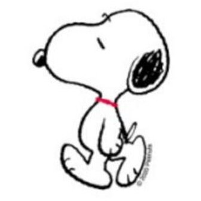 カミ スヌーピー Snoopy ミニデコステッカー ピーナッツ ウッドストック すぬーぴー アニメ キャラクター シール ステッカー 通販 Lineポイント最大get Lineショッピング