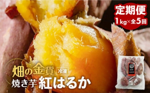 焼き芋紅はるか1kg 定期便　K181-T01