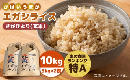 令和5年産 新米 がばいうまかエガシライス（さがびより）玄米 10kg（5kg×2袋）特A 特A評価[HAU003]