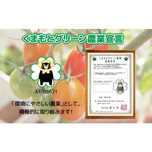 ふるさと納税 熊本県 玉名市 ミニトマト 『ほれまる』 約2.5kg よしだ農園