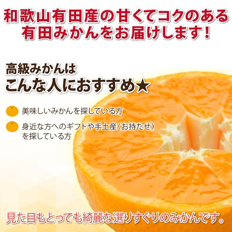 みかん 10kg 有田みかん 和歌山ミカン 蜜柑 秀品 高級みかん 送料無料 有田産みかん 2Lサイズ 箱買い 糖度 10キロ 甘い 和歌山みかん 贈り物