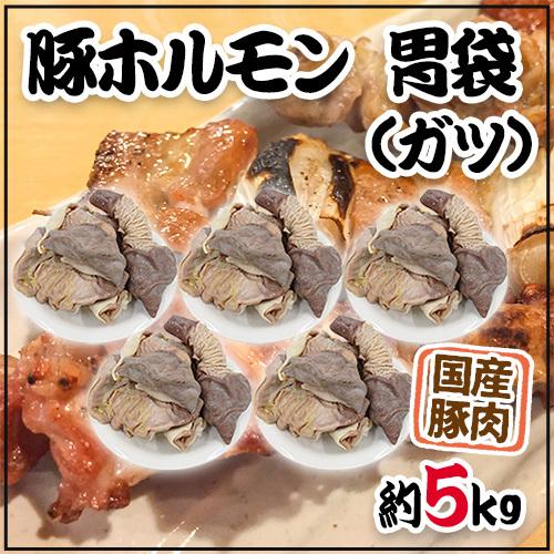 国産 ”豚胃袋（ガツ）ボイル” 約5kg 未カット