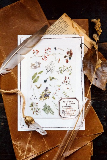 野地花草 轉印貼紙