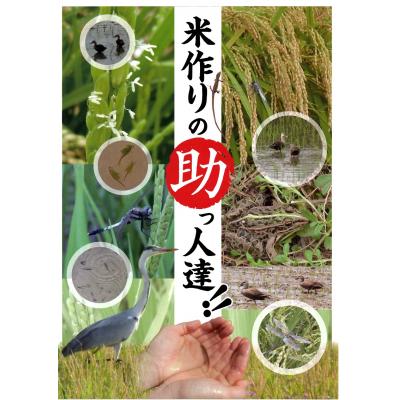 ふるさと納税 焼津市 30年間無農薬・無肥料玄米コシヒカリ1回5kg合計15kg(a63-002)