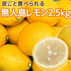 農園直送 広島産 無人島のレモン 約２．５ｋｇ　 サイズいろいろ 皮まで食べられます 送料込み 国産レモン 越智農園 お土産