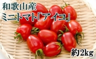 和歌山産ミニトマト「アイコトマト」約2kg（S・Mサイズおまかせ） ※2024年2月上旬～下旬に順次発送予定 ※北海道、沖縄、離島への配送不可