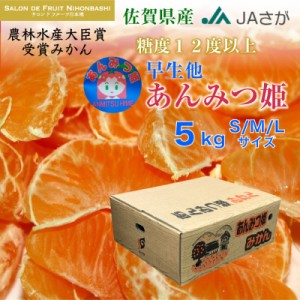 [予約 2023年 12月5日から12月20日の納品]  あんみつ姫みかん 早生  SMLサイズ 約 5kg 佐賀県産 高糖度 ミカン 産地箱 上級品 冬ギフト