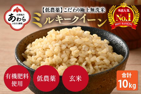 特別栽培米 ミルキークイーン 玄米 10kg 低農薬 《食味値85点以上！こだわり極上玄米》   福井県 あわら 北陸 米 お米 人気