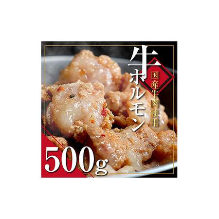 ふるさと納税 国産牛ホルモンタレ漬け500g＜高知市共通返礼品＞ 高知県芸西村