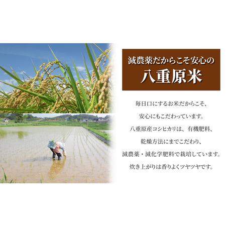 ふるさと納税 八重原産特別栽培米（減農薬・減化学肥料栽培）コシヒカリ白米1.2kg 長野県東御市