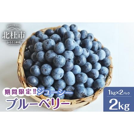 ふるさと納税 大人気！甘くジューシーな冷凍ブルーベリー2kg（1kg×2パック） 山梨県北杜市