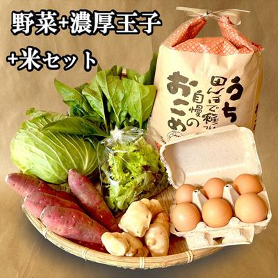 ふるさと納税 松浦市 道の駅松浦海のふるさと館『旬のお野菜 産みたて濃厚玉子6個 お米5kg』の大満足セット!