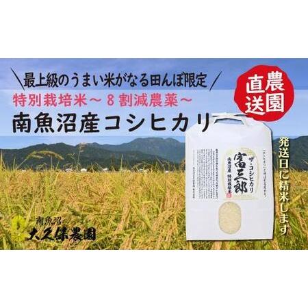 ふるさと納税 南魚沼産コシヒカリ　富三郎　 肥沃な大地と八海山の雪解け水が育んだ厳選米 　無洗米５ｋｇ全６回 新潟県南魚沼市