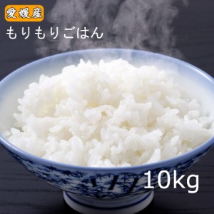 米 愛媛県産 お米 白米 精米 ブレンド米 業務用 10kg もりもりごはん10kg 送料無料 （北海道・東北・沖縄除く）