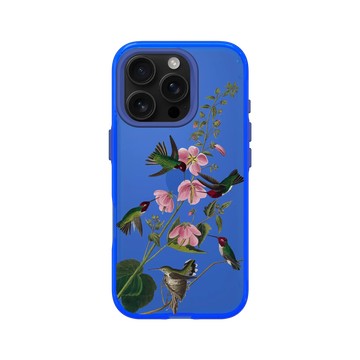 iPhone 16 Pro Clear 激光藍 - The British Library - 美洲鳥譜 ‧ 哥倫比亞蜂鳥