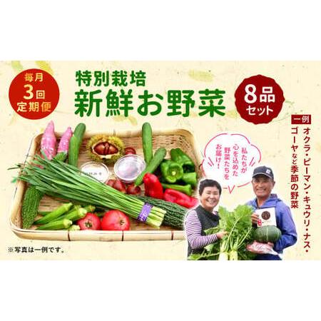 ふるさと納税 特別栽培 季節のお野菜セット 8品 おまかせ やさい 宮崎県えびの市