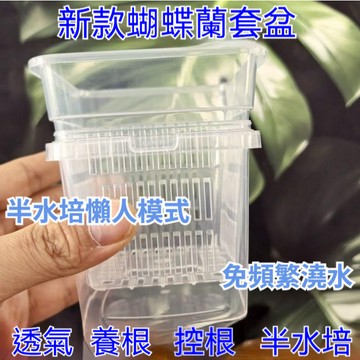 桃園出貨✨水培套盆蝴蝶蘭雙層控根盆方形透明鏤空觀根盆田園塑料免澆水套盆 適合室內 專用花盆 懶人花盆 免澆水 蝴蝶蘭雙層