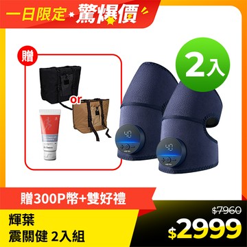 輝葉 震關健 KNEEBUZZ(多功能石墨烯熱感 關節按摩器)2入