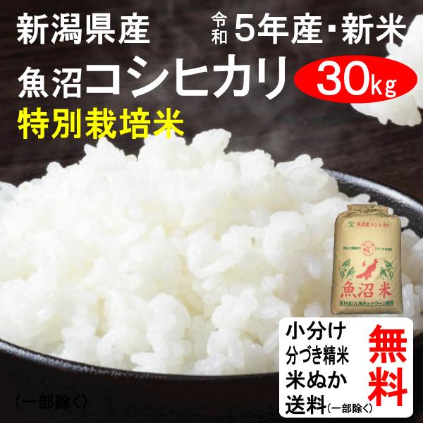 新米 30kg 送料無料 新潟県魚沼 特別栽培米 コシヒカリ 1等玄米 クーポンで500円引き