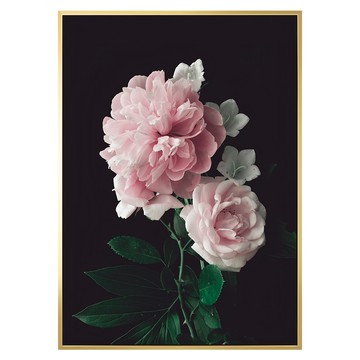 雍容華貴 牡丹I 油畫布 鬆木內框  40 x 30cm  金色