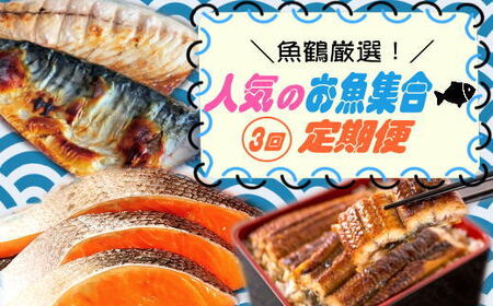 魚鶴厳選！人気のお魚集合定期便（さば・銀鮭・うなぎ）