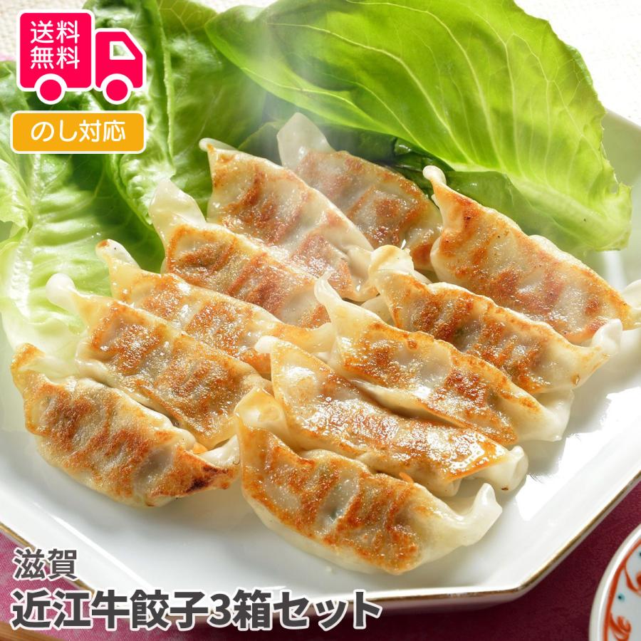 滋賀 近江牛餃子3箱セット プレゼント ギフト 内祝 御祝 贈答用 送料無料 お歳暮 御歳暮 お中元 御中元