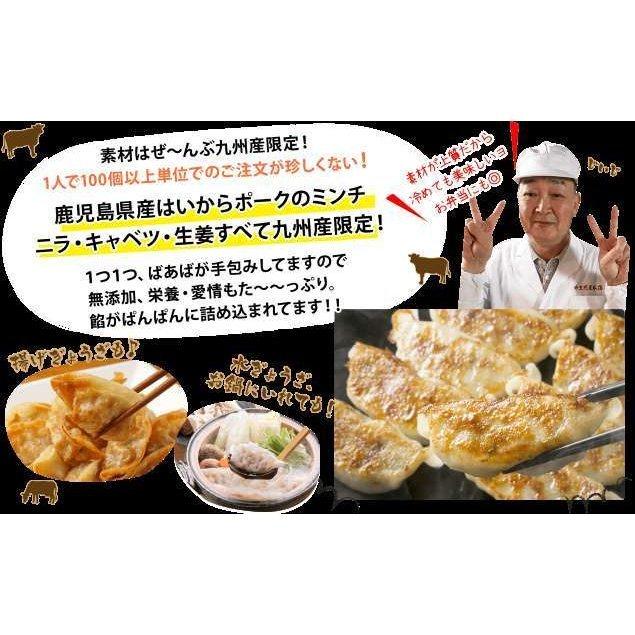 無添加 手作り 餃子 30個   九州産 惣菜 お取り寄せ 冷凍