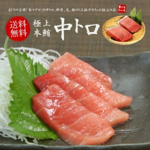 本マグロ極上中トロ600g 解凍レシピ付き 送料無料〈bf1〉yd9[[中トロ300-2p]