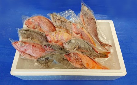 おまかせ鮮魚セット（約4kg）