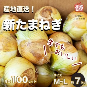 新たまねぎ　新鮮なタマネギ／料理にも使いやすい玉葱／京都産 玉ネギ／玉ねぎスープにも！