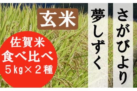 鹿島市産さがびより・夢しずく　玄米１０ｋｇ（５ｋｇ×2種）お米マイスター厳選！ B-120