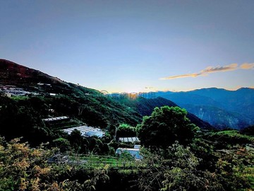 嘉義梅山鄉大面積超便宜農地C｜嘉義縣梅山鄉科子林