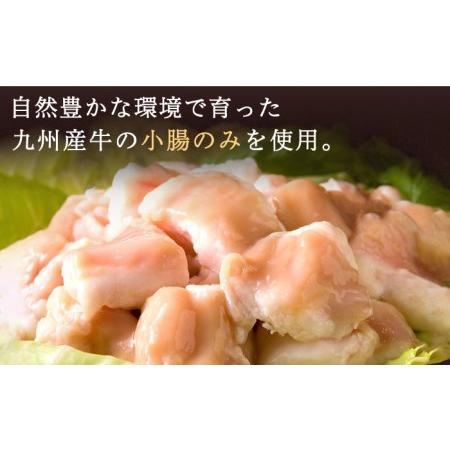 ふるさと納税 国産 ・ 完全 無添加 もつ鍋 セット ×2（約4人前） しょうゆ味 ≪糸島≫お.. 福岡県糸島市