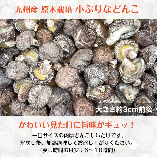 干し椎茸 九州産 小ぶりなどんこ 100g 原木栽培 無農薬 チャック付き袋 国産 どんこ しいたけ 椎茸 シイタケ 干ししいたけ 干しシイタケ