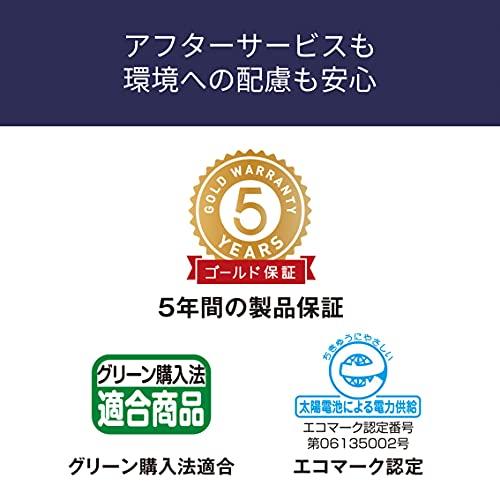 カシオ 本格実務電卓 12桁 日数時間計算 グリーン購入法適合 デスクタイプ DS-20DC-N