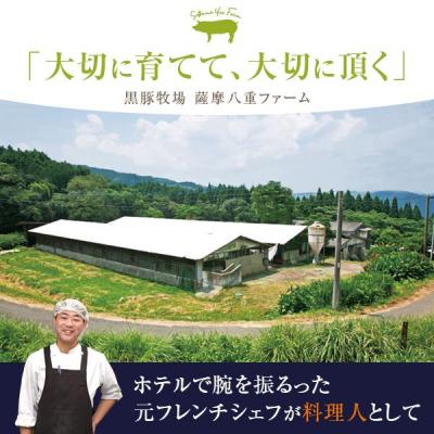 ふるさと納税 薩摩川内市 かごしま黒豚ロース肉の味噌漬けと塩麹漬け8枚セット　SDGs未来都市薩摩川内　AS-903