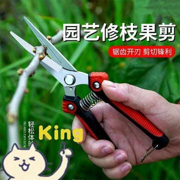【KING】強力採果剪刀 不鏽鋼鋒利刀刃 彎頭設計 防刺傷果實 省力彈簧 防滑握柄 園藝修枝 果樹採摘 粗枝可剪 耐用