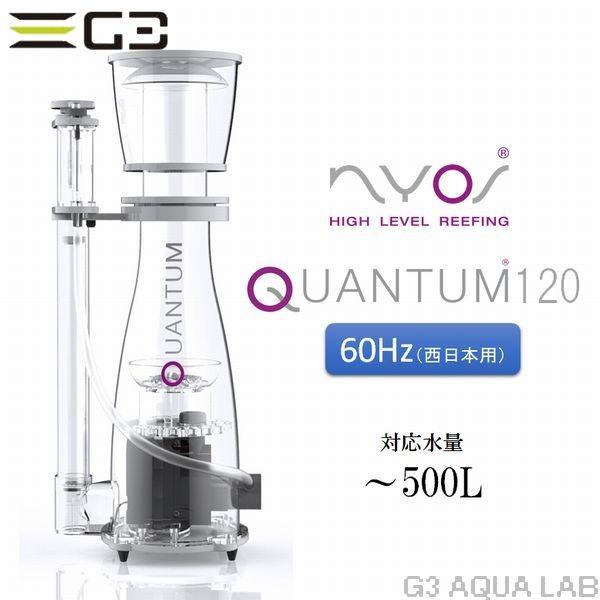 使用には問題ありませんゼンスイ　プロテインスキマー　quantum120