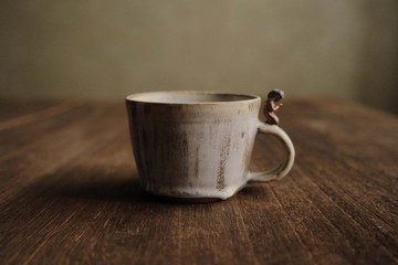 冬季的羊卓雍錯・雪・śaraṇāgati・臣服・祈禱者・把手杯子