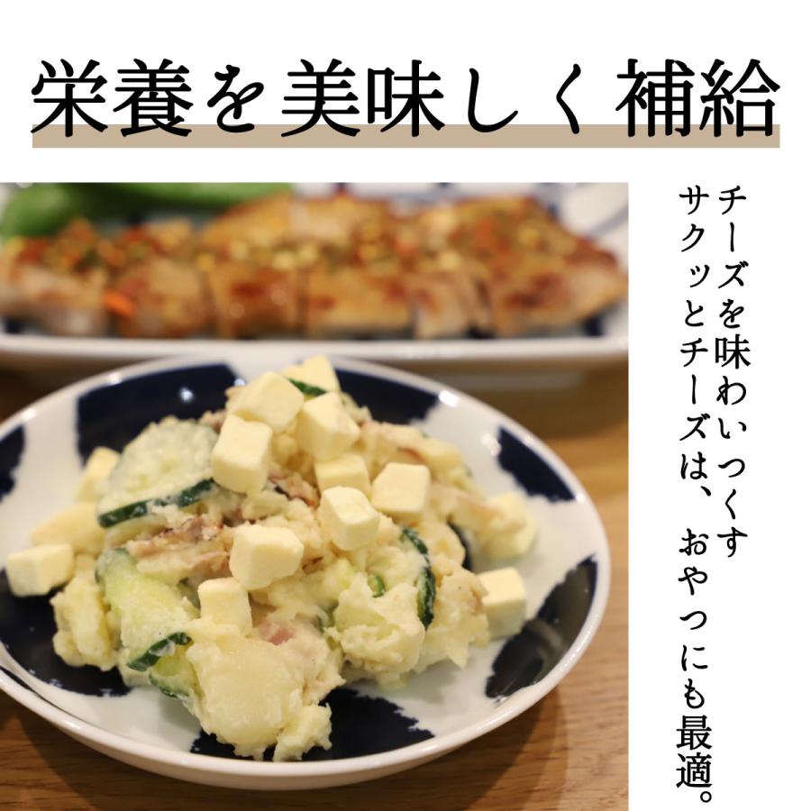 フリーズドライチーズ サクっとチーズ 100g ドライチーズ