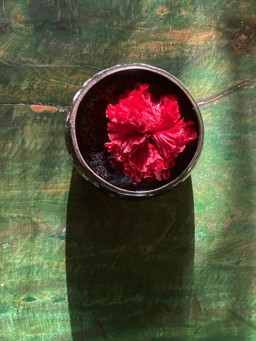 塵 水方系列之一