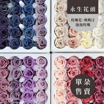 大好屋 現貨 永生玫瑰 單朵 1朵 花頭 泡泡玫瑰 奧斯汀 庭園玫瑰 玫瑰花頭 香頌玫瑰 不凋花 捧花 拍照道具