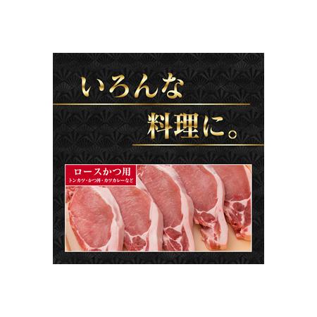 ふるさと納税 県産豚ロースバラエティーセット(合計1.5kg) BB119-23 宮崎県日南市