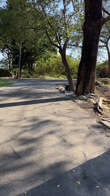 高鐵橋下美農地｜台南市歸仁區媽祖廟段三小段