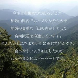 ふるさと納税 BN6013n_わかやま ジビエ ソーセージ 猪・鹿10Pセット 和歌山県湯浅町