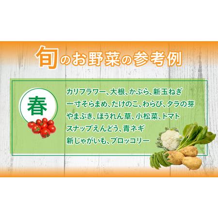 ふるさと納税 鯖街道からお届けする季節の新鮮野菜セット 8種以上[A-023007] 福井県小浜市